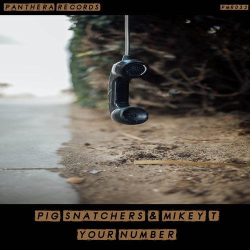Pig Snatchers, Mikey T. - Your Number [PMR032]